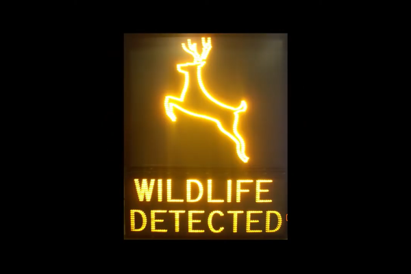 LED Traffic Signs